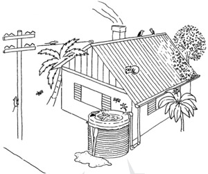Image of homestead in Hawaii with rainwater catchment system